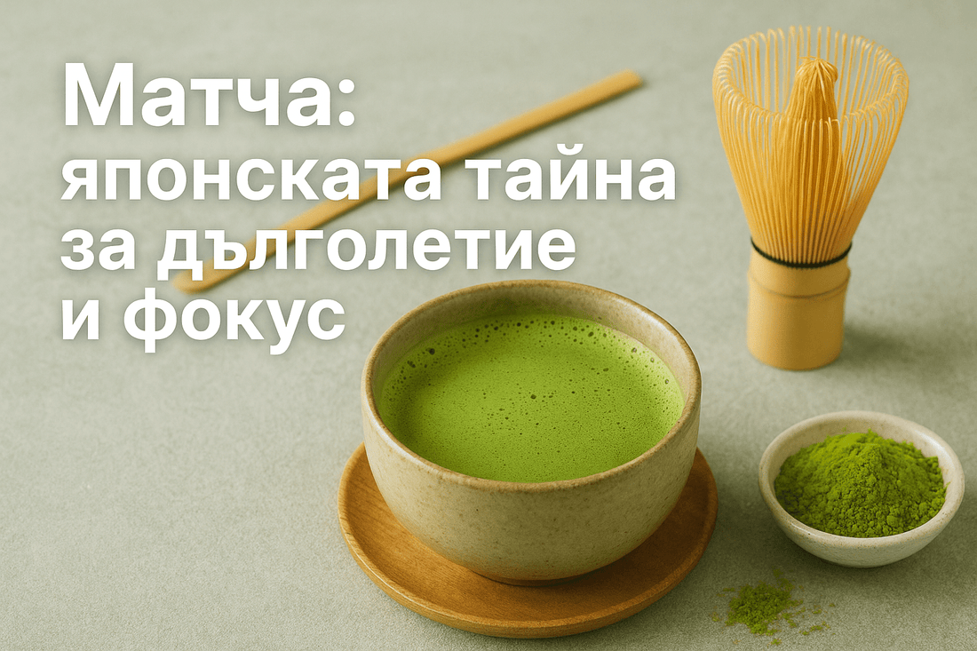 Матча: японската тайна за дълголетие и фокус 🍵 - Your Daily Superdrink