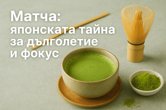 Матча: японската тайна за дълголетие и фокус 🍵 - Your Daily Superdrink